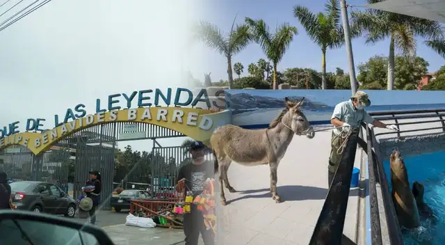 Parque de las Leyendas anuncia ingreso gratis en enero 2026