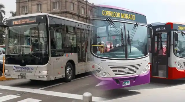 Horarios de Metropolitano, Corredor y más durante el paro