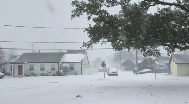 Panhandle de Florida volvió a cubrirse de nieve por segundo año consecutivo
