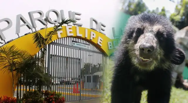 Nuevas tarifas de ingreso en Parque de las Leyendas para todo el 2026