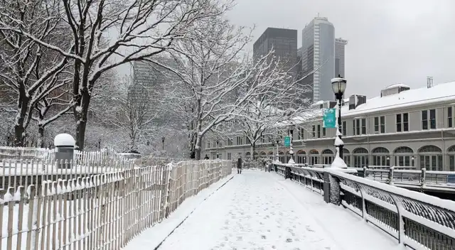 Estados Unidos Estados Unidos