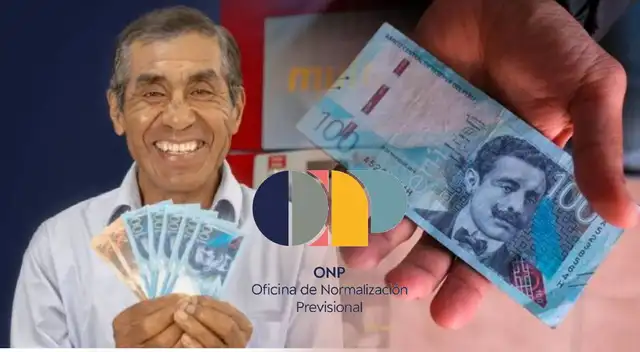 ONP pagos de febrero de 2026: consulta si accedes al pago