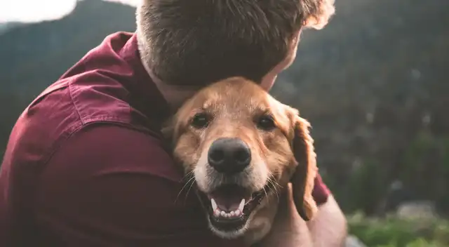 ¡Son familia! Este país de Sudamérica permite que las mascotas sean enterradas con sus dueños