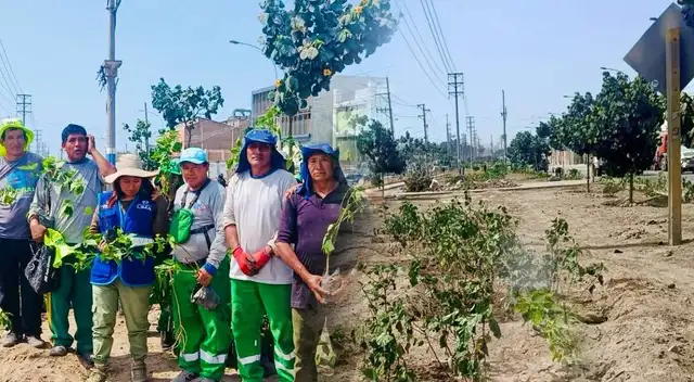 Municipalidad de SJM anuncia novedad en distrito