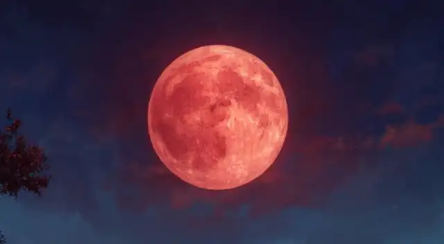 El evento astronómico que ocurrirá el próximo 3 de marzo y no se repetirá hasta el 2028: a qué hora y en qué lugares se podrá ver