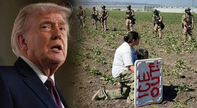 Inmigrantes en campos de fresas de Florida temen los efectos de nuevas políticas.