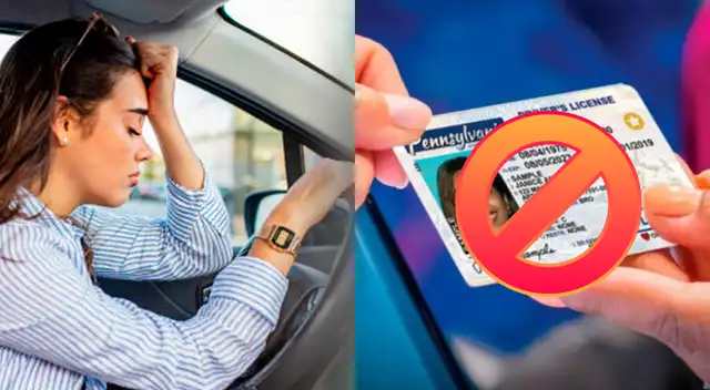 Licencia de conducir EE. UU.