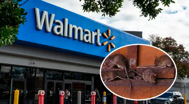Cierran Walmart sin fecha de reapertura tras hallazgo de roedores en el interior del supermercado.