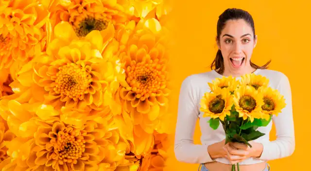 En redes sociales se ha viralizado regalar flores amarillas este 21 de marzo.  