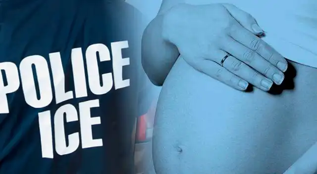 EE. UU.: confirman que ICE arrestó y deportó a inmigrantes embarazadas, ¿quiénes son el siguiente grupo?
