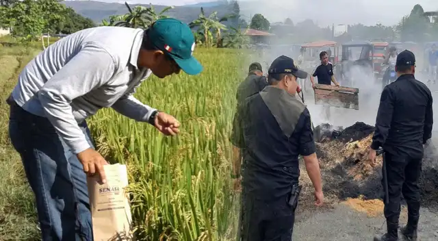 Los productores de arroz tienen exigencias para el Gobierno que esperan que el Ejecutivo cumpla.