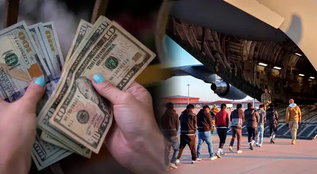 Project Homecoming: cómo opera y los beneficios que brinda el DHS.