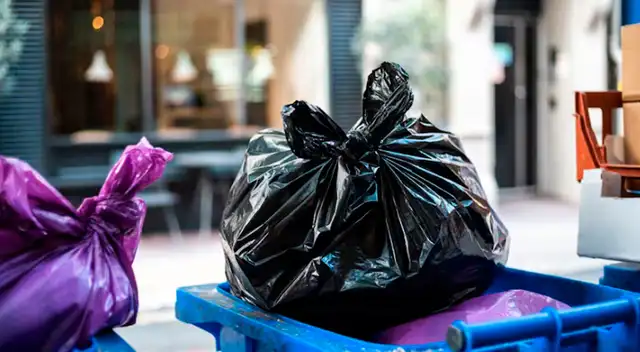 Este estado de EE. UU. multará con 500 dólares a los que realicen esto en las afueras de sus casas.