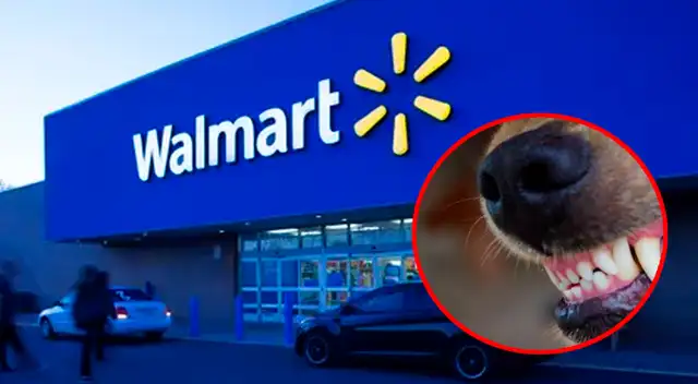 Walmart: reportan pelea de perros en establecimiento; empleados y dueños terminan heridos.