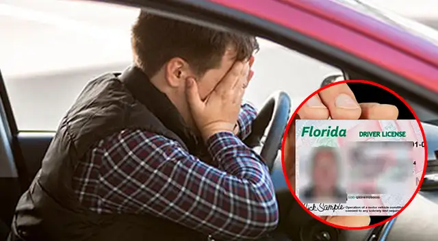 Licencia de conducir.