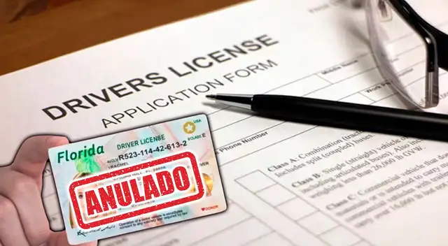 Licencia de conducir.