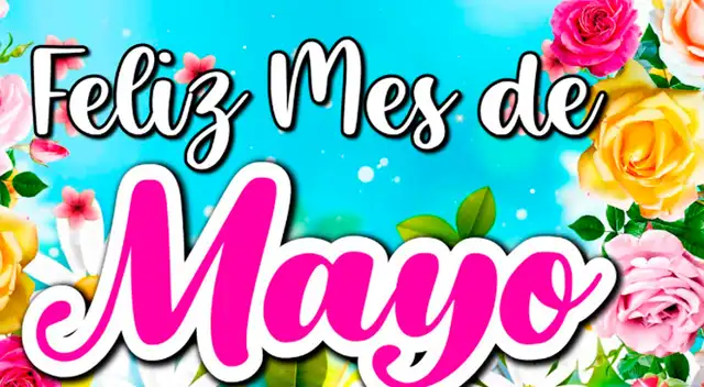 Mayo Mayo
