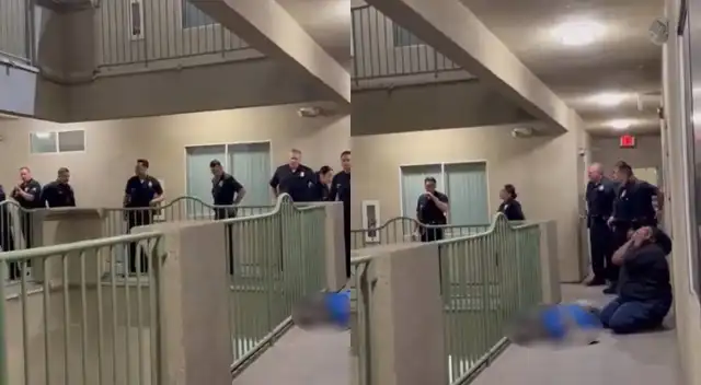 ¿Cómo murió un perro durante una intervención policial en Los Ángeles?