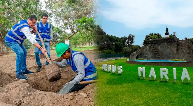Inicia plantación de árboles para recuperar las áreas verdes de espacio público ubicado en Jesús María.