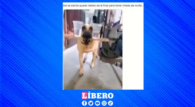 El choque entre Argentina vs España por la gran final inspiró el meme viral. El choque entre Argentina vs España por la gran final inspiró el meme viral.