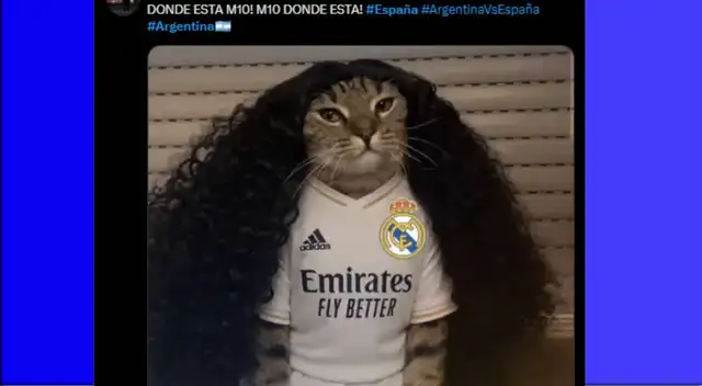 Los mejores memes que dejó la final del Mundial España vs Argentina. Los mejores memes que dejó la final del Mundial España vs Argentina.