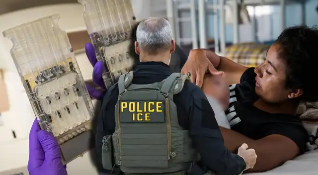 Según la Universidad de Georgetown, el DHS recopiló más de 3.3 millones de perfiles de ADN de inmigrantes.