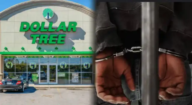 Dollar Tree. Dollar Tree.