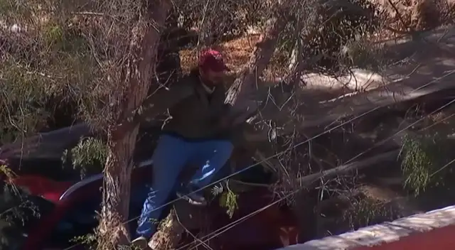 Hincha sorprendió al ver el partido de Boys y Moquegua desde un árbol. Foto: L1 Max Hincha sorprendió al ver el partido de Boys y Moquegua desde un árbol. Foto: L1 Max