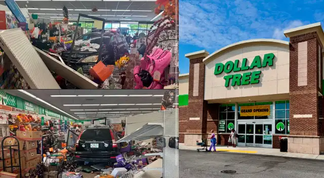 Dollar Tree. Dollar Tree.