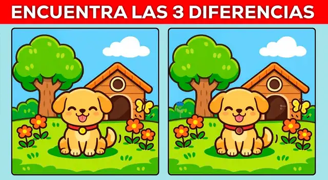 Encuentras las 3 diferencias entre las imágenes y demuestre su talento. Encuentras las 3 diferencias entre las imágenes y demuestre su talento.