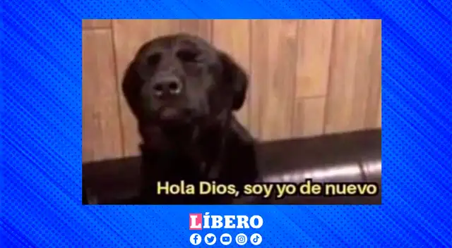 Terminó el partido y las redes sociales no perdonaron: ¡aparecieron los memes!