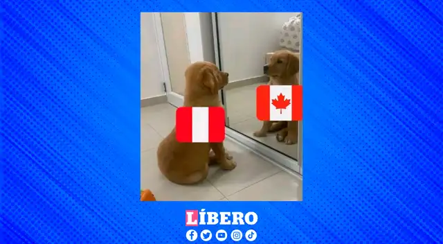 El resultado ante Canadá generó todo tipo de reacciones. Los memes se convirtieron en protagonistas. El resultado ante Canadá generó todo tipo de reacciones. Los memes se convirtieron en protagonistas.