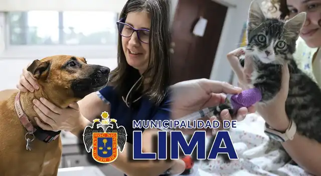 La campaña veterinaria gratuita se realizará este 15 de octubre y ofrecerá diversos servicios para las mascotas. La campaña veterinaria gratuita se realizará este 15 de octubre y ofrecerá diversos servicios para las mascotas.