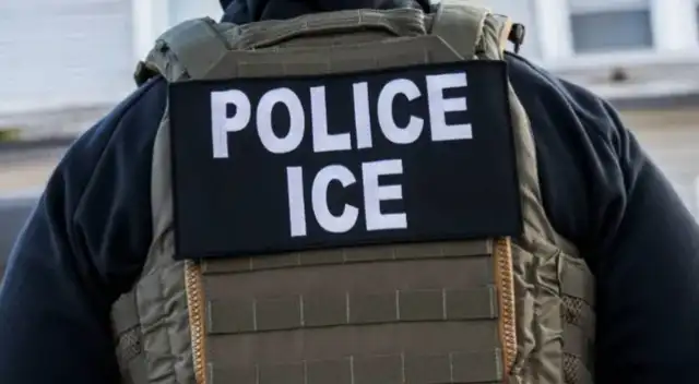 ICE. ICE.