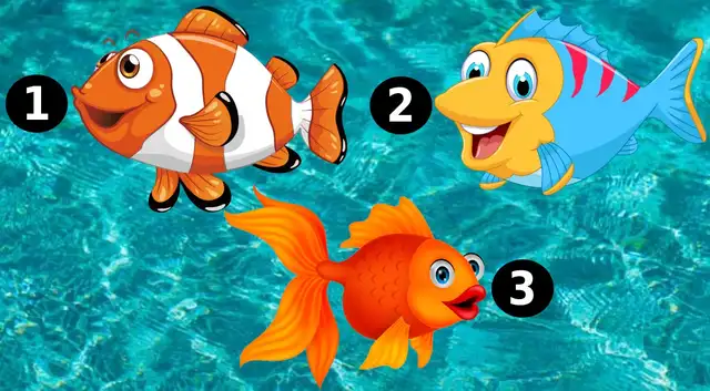 test de personalidad test de personalidad