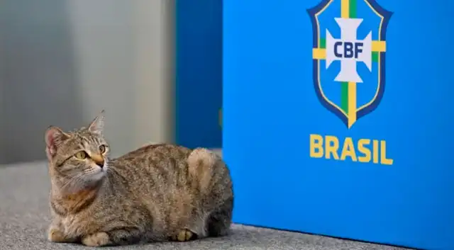 CBF