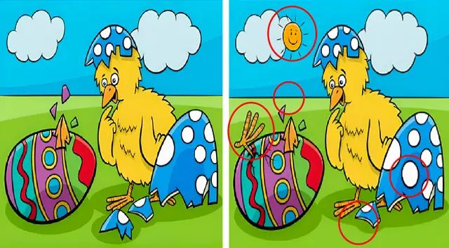 reto visual reto visual