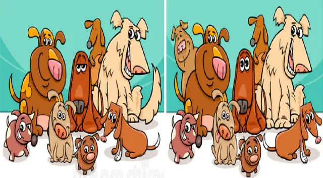 <em>Activa todos tus sentidos y desarrolla este reto. (FOTO: Composición Pinterest)</em>   