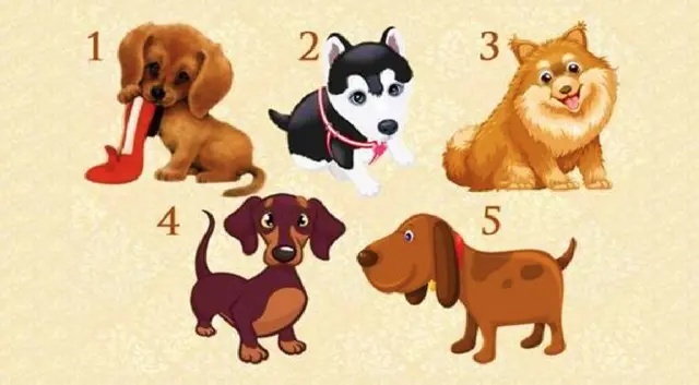 test de personalidad