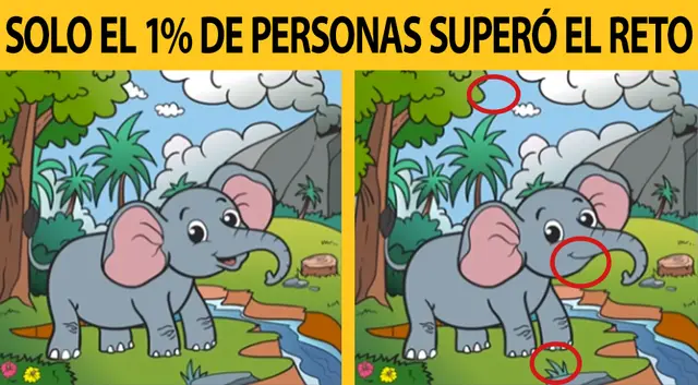 reto visual