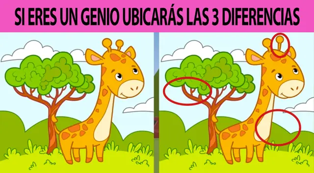reto visual