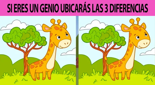 reto visual