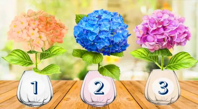 test de personalidad