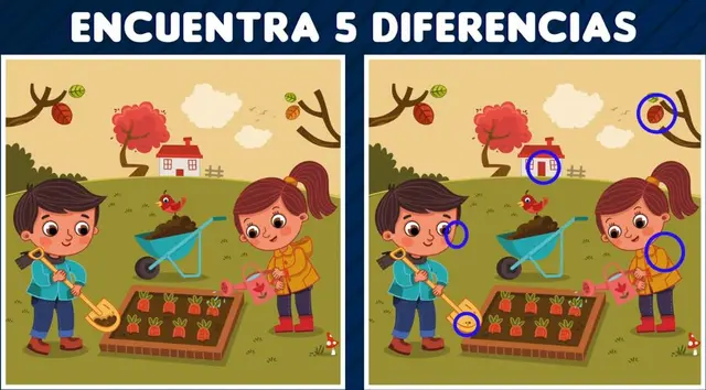 reto visual reto visual