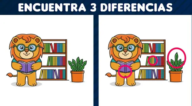 reto visual reto visual