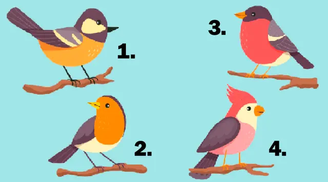 test de personalidad test de personalidad