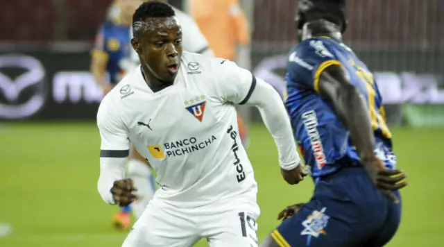 José Angulo José Angulo