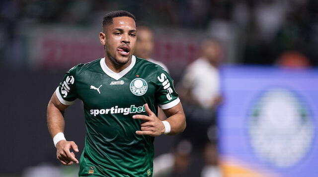 palmeiras