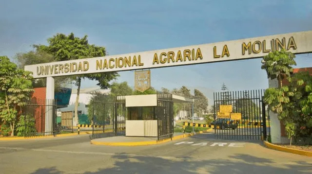 UNMSM
