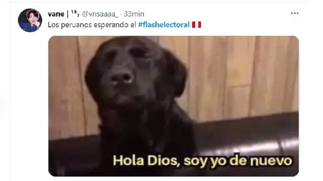 memes flash electoral
